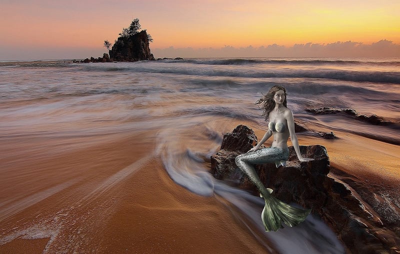 Mermaid Swim